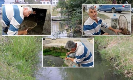 Kuruyan kanaldaki balıkları pet şişelerle nehre taşıdı