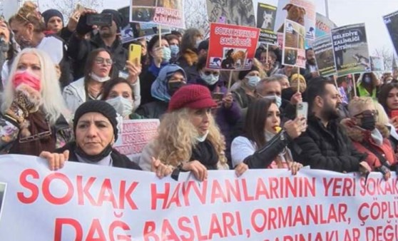 Sokak hayvanları için Kadıköy Rıhtım'da eylem