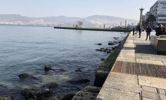 İzmir'de deniz suyu seviyesi azaldı, Pasaport İskelesi kapatıldı (30 Mart 2022) (Video Haber)