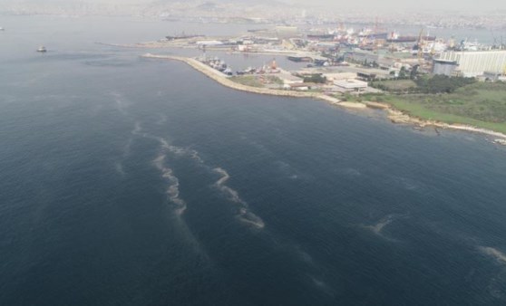 İstanbul'da korkutan görüntü: Müsilaj her geçen dakika artıyor (27 Nisan 2022) (Video Haber)