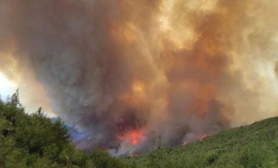 İzmir'de orman yangınlarına karşı 'akıllı ihbar sistemi' kuruldu (28 Nisan 2022) (Video Haber)