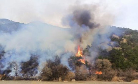 Çorum'da 2 orman yangınında 11 hektar alan zarar gördü