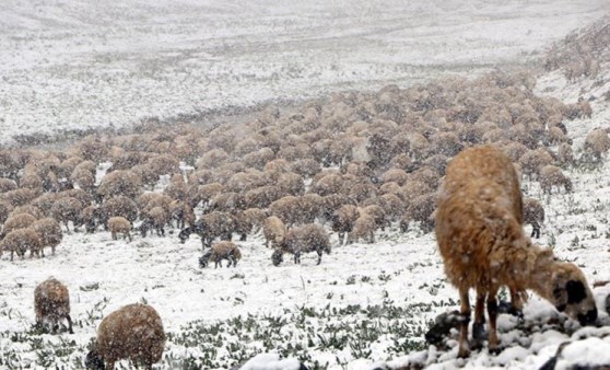 Van Bahçesaray'a mayıs ayında kar yağdı (11 Mayıs 2022)