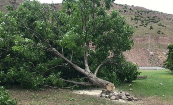 Artvin'de HES yapılması planlanan bölgedeki ağaçlar mahkeme sonuçlanmadan kesildi (24 Mayıs 2022) (Video Haber)