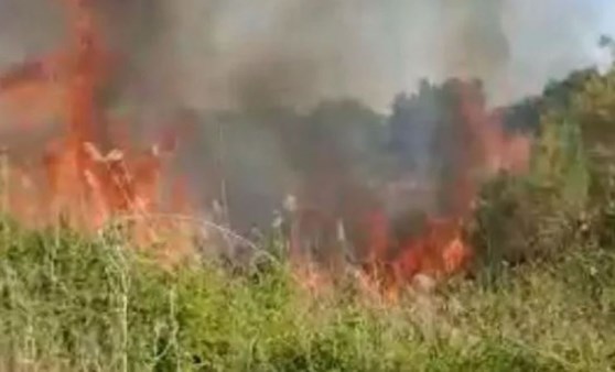 Temizlik işçisinin ihbarda bulunduğu meyve bahçesindeki yangın söndürüldü