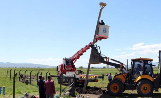 Erzurum'da leyleklere 'yıkılmaz' yuva