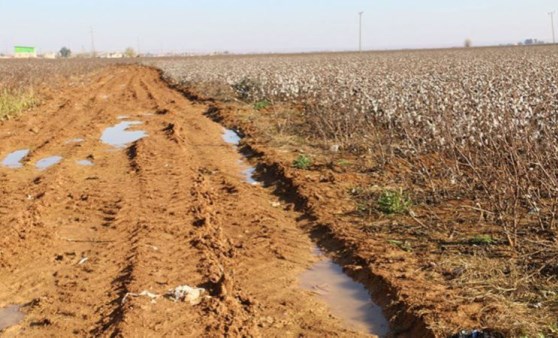 Tarlasını sulayan çiftçilere 'suyu boşa akıttın' cezası: 'Bu Türkiye'de üretim olmaz' (31 Mayıs 2022) (Video Haber)