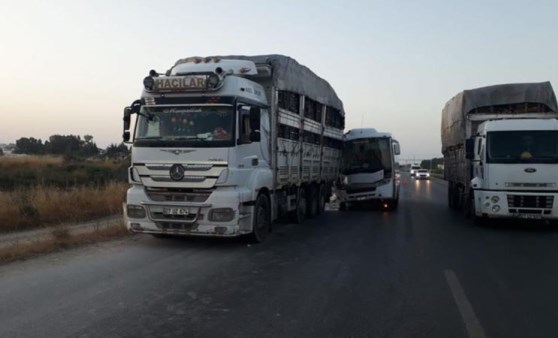 Tur midibüsü kamyona arkadan çarptı: 2’si Alman 3 turist yaralı (01 Haziran 2022) (Video Haber)