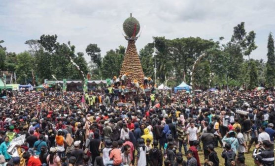 Endonezya'da durian festivali