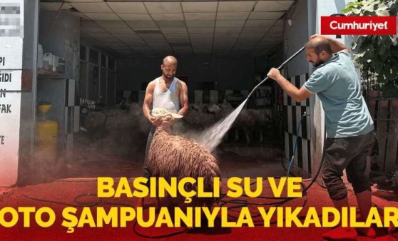 Adana'da bir yurttaş, kurbanlık koyunu oto yıkama dükkanında köpükleyerek tazyikli suda yıkadı