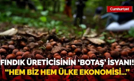 Fındık üreticilerinin BOTAŞ isyanı! 