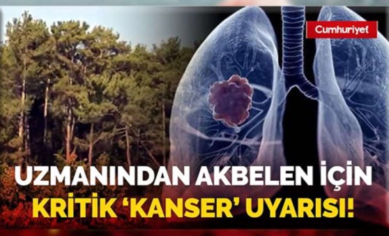 Uzmanından Akbelen için kritik 'kanser' uyarısı!