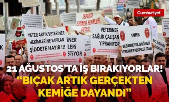 Kedisinin ölümünden veterineri sorumlu tutup darbetmişti! Veterinerler 21 Ağustos'ta işi bırakıyor