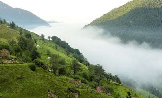 Doğanın kucağında huzurun adresi: Trabzon yaylaları...