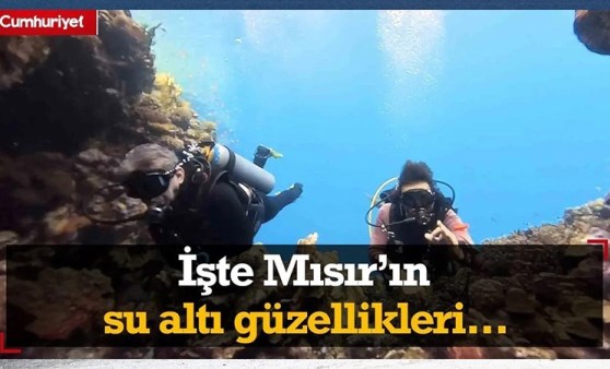 Eskişehir’den yola çıktılar, Mısır’ın su altı güzelliklerini kaydettiler...