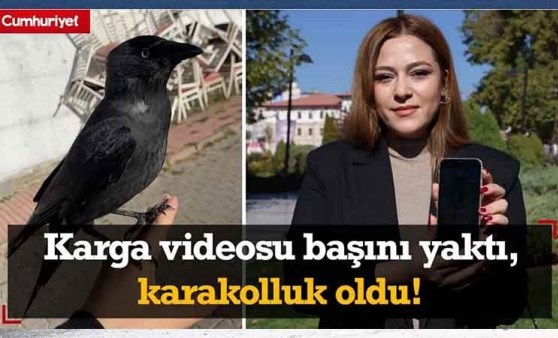 Karga videosu sosyal medyada viral olmuştu! O video başını yaktı, karakolluk oldu