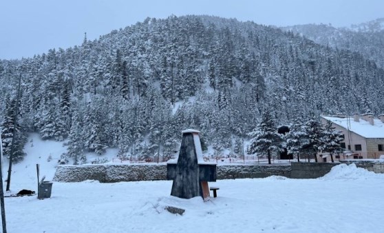 Karadeniz kar altında: 442 yol kapandı, okullar tatil edildi!