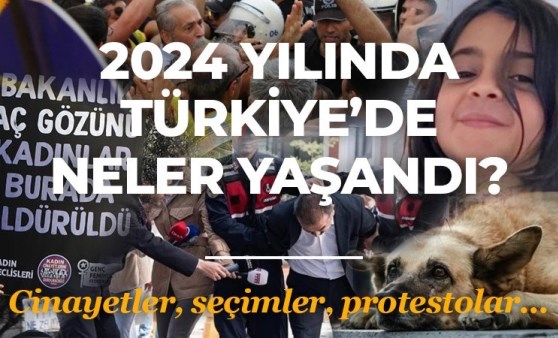 2024 yılında Türkiye'de neler yaşandı? Cinayetler, seçimler, protestolar...