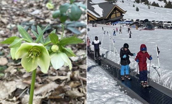 Bolu'da iki mevsim bir arada yaşanıyor