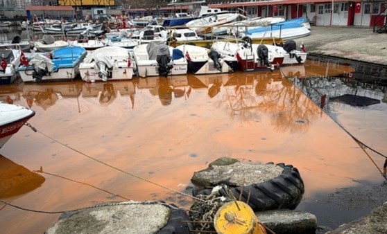 Deniz turuncuya döndü: Nedeni şaşırttı