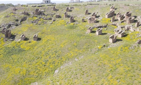 Türkülere konu olan Gesi Bağları koruma altına alınıyor