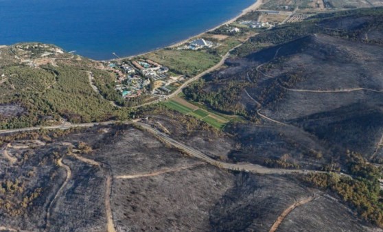 Ciğerlerimiz yandı... İşte 'sigara izmariti'nin acı bilançosu