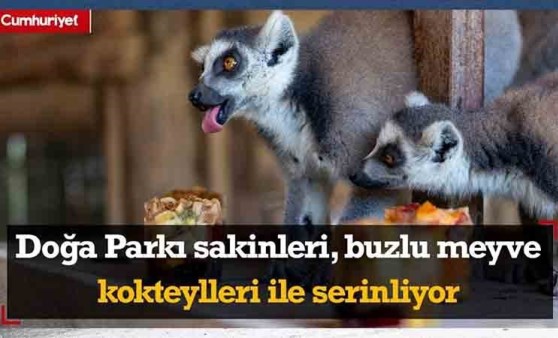 Doğa Parkı sakinleri, buzlu meyve kokteylleri ile serinliyor