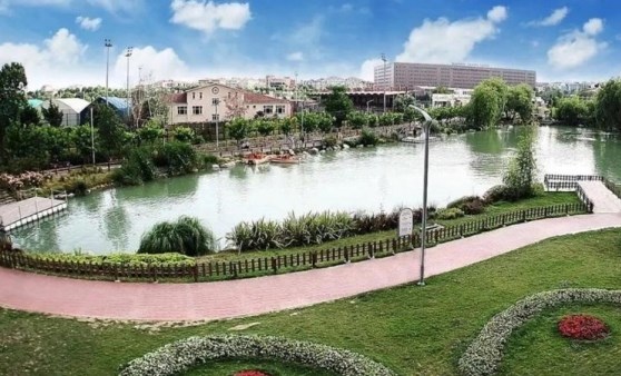 Doğanın kalbinde huzur dolu bir keşif: İstanbul'da görmeniz gereken 5 botanik park