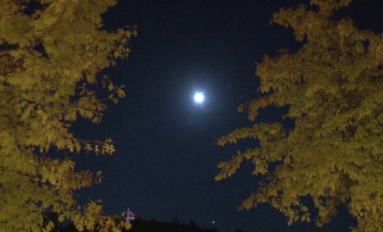 Süper Ay, İstanbul'da böyle görüntülendi