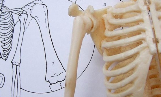 Eklem ağrılarına son vermenin sırrı bu yöntemlerde saklı: Kemik sağlığını güçlendirmenin 9 doğal yolu